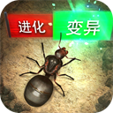 给阿嬷的情书导演预判